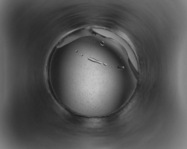 X0000089361141200706291036