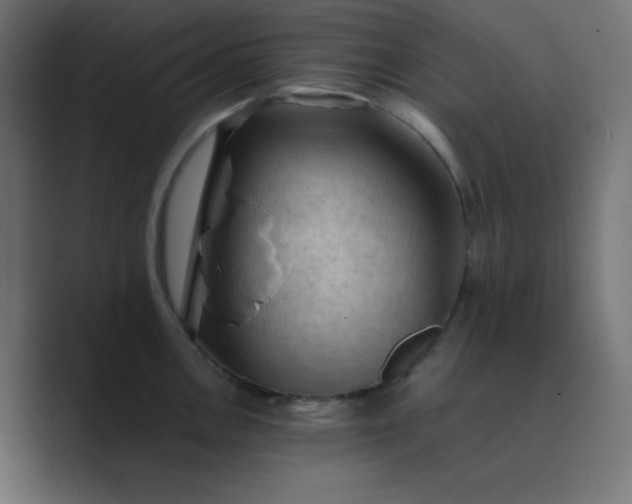 X0000089361146200706291036