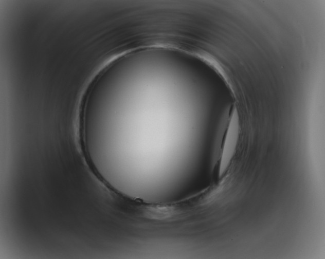 X0000089361147200706291036