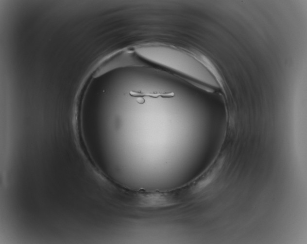 X0000089361149200706291036