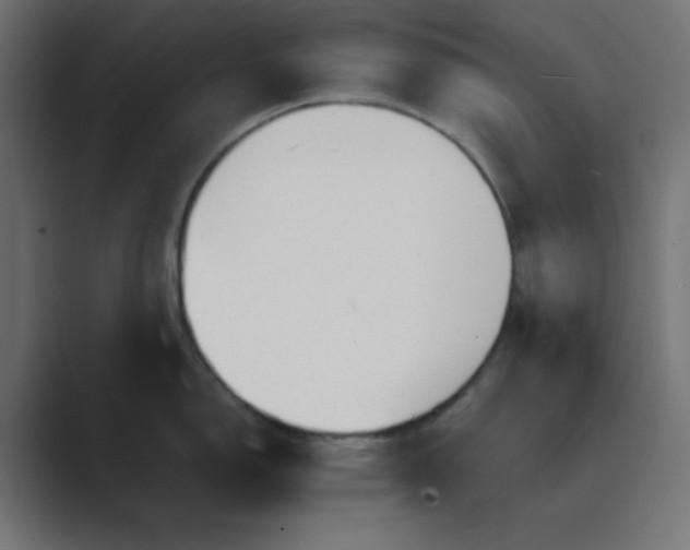 X0000089361150200706291036