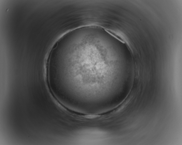 X0000089361151200706291036