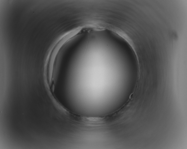 X0000089361152200706291036