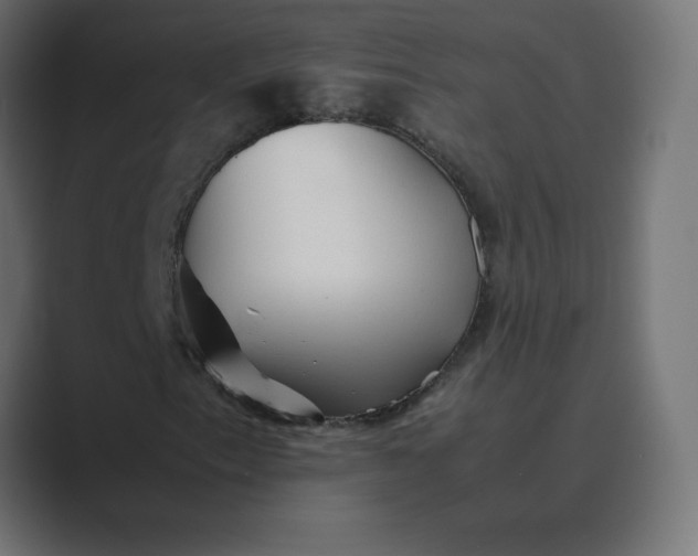 X0000089361153200706291036