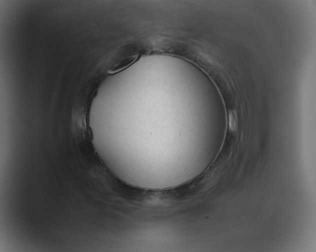 X0000089361155200706291036