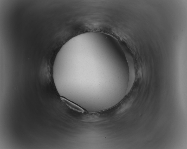 X0000089361156200706291036