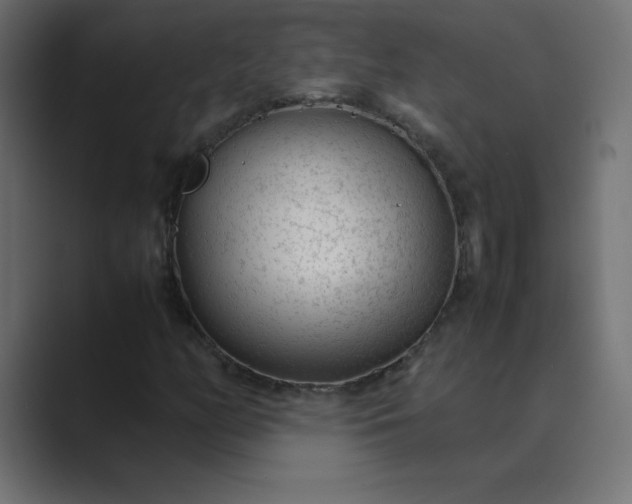 X0000089361158200706291036