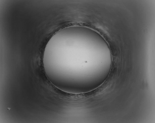 X0000089361159200706291036