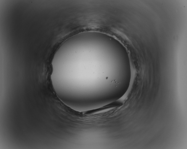 X0000089361160200706291036