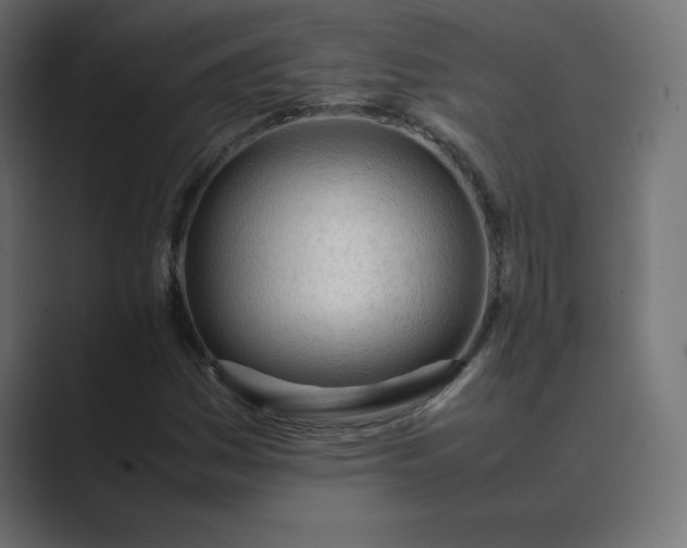 X0000089361161200706291035