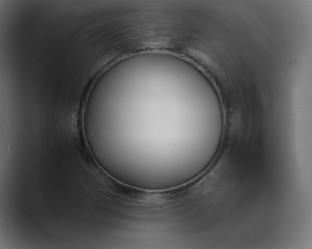 X0000089361162200706291035