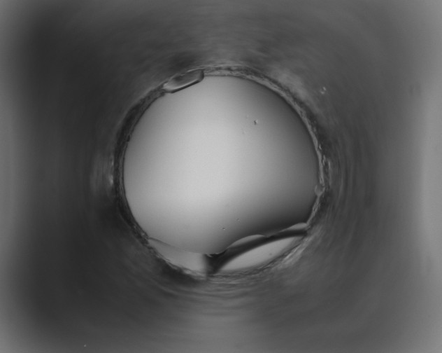 X0000089361165200706291035