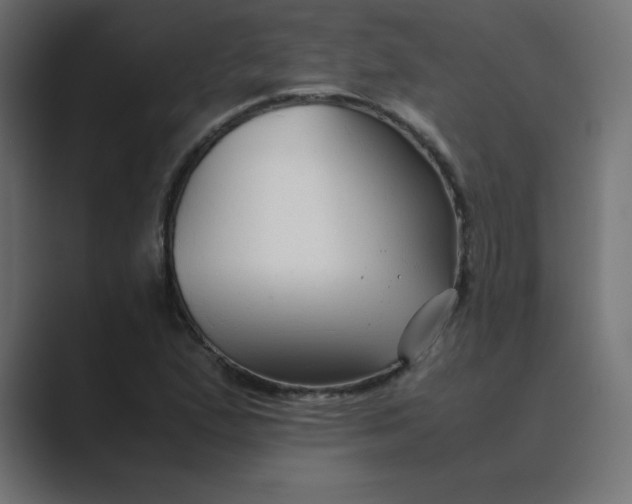 X0000089361167200706291035