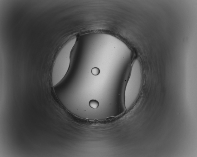 X0000089361169200706291035