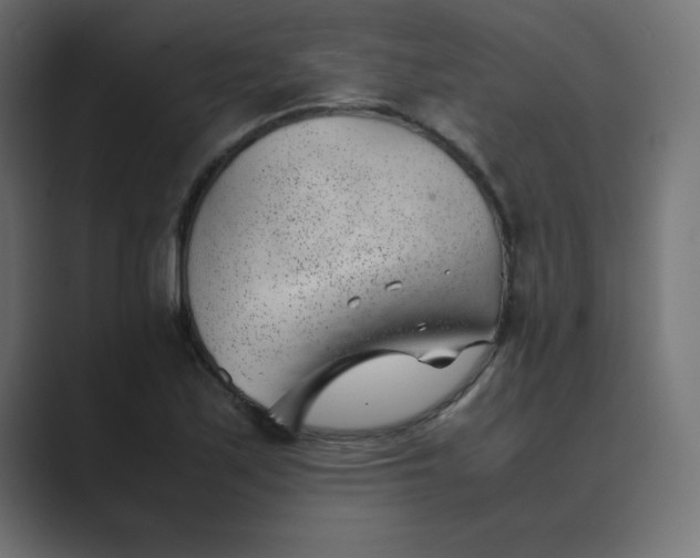 X0000089361171200706291035