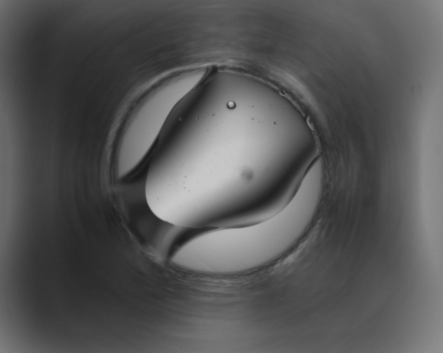 X0000089361172200706291035