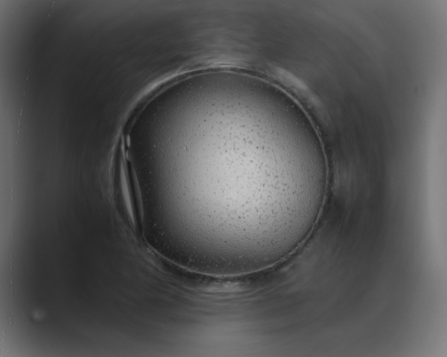 X0000089361174200706291035