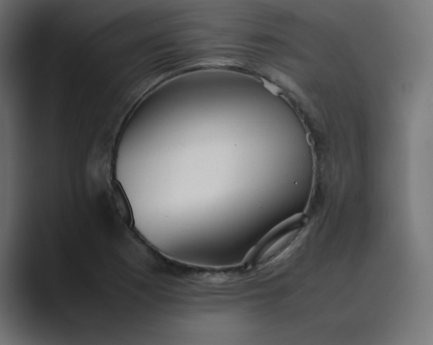 X0000089361177200706291035