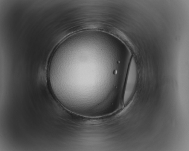 X0000089361178200706291035