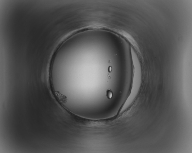 X0000089361183200706291035