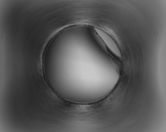 X0000089361184200706291035