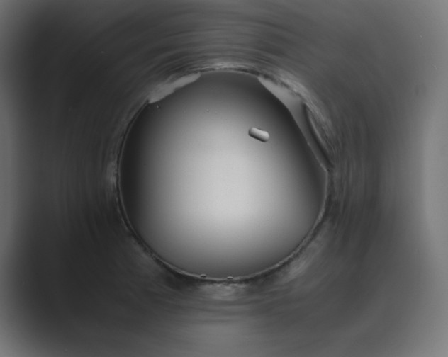 X0000089361185200706291035