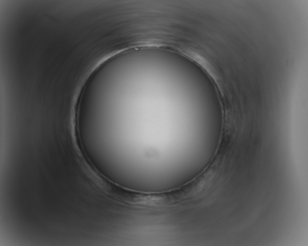 X0000089361187200706291035