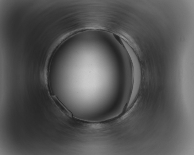 X0000089361188200706291035