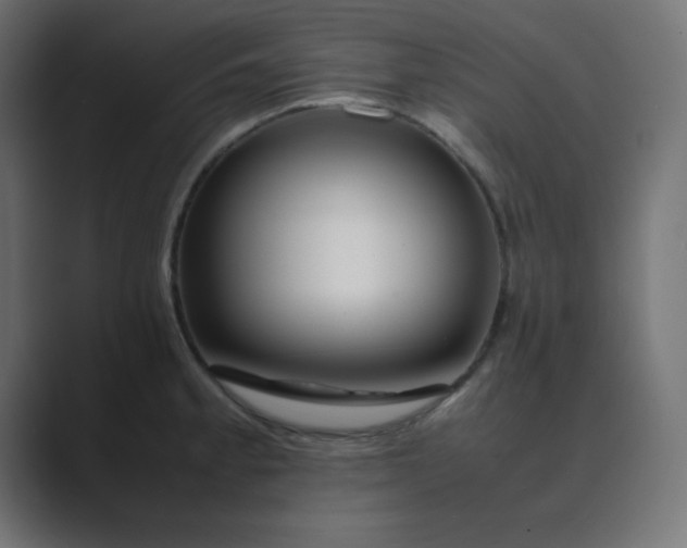 X0000089361189200706291035