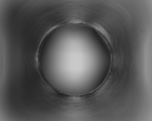 X0000089361190200706291035