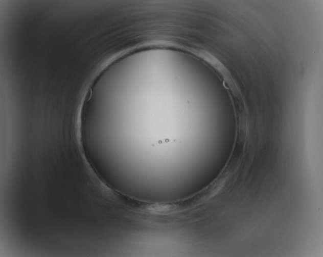 X0000089361199200706291035