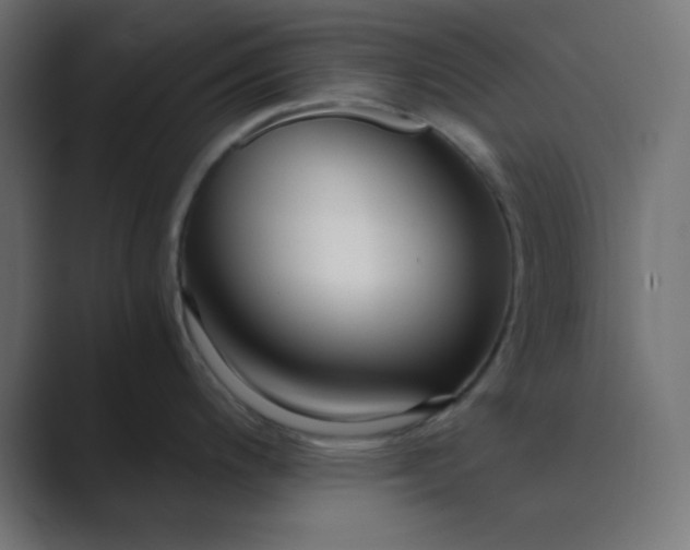 X0000089361200200706291035