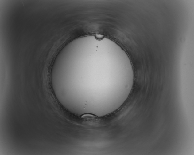 X0000089361201200706291034