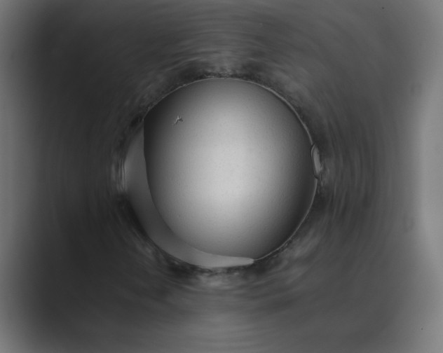 X0000089361202200706291034