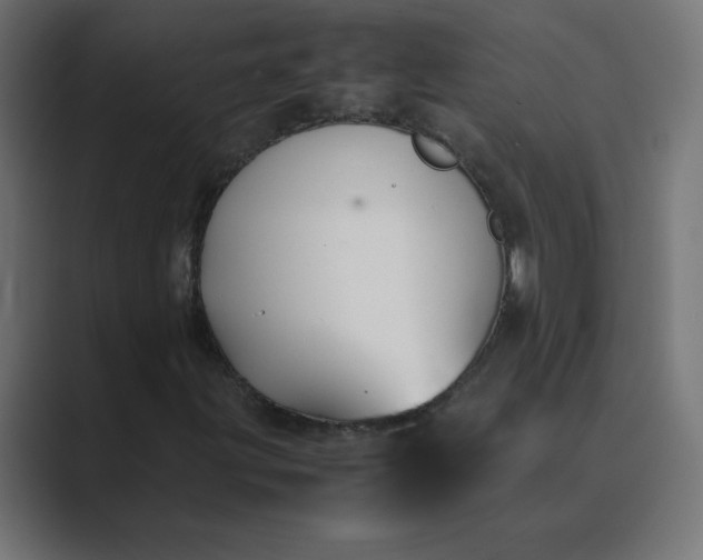 X0000089361203200706291034