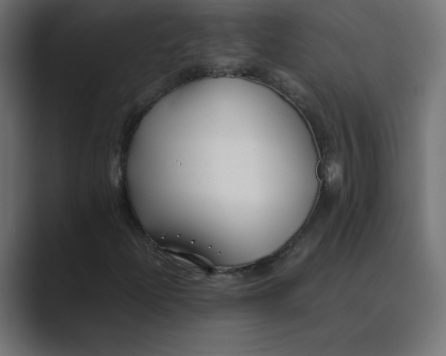 X0000089361204200706291034