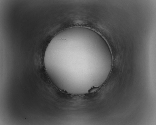 X0000089361205200706291034