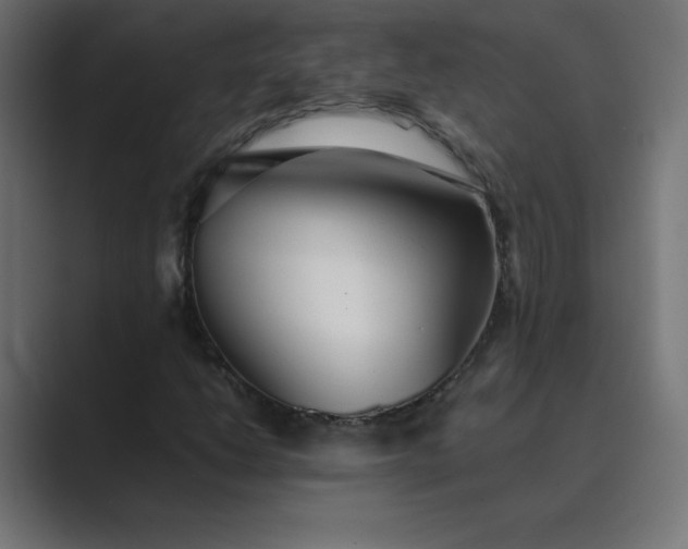 X0000089361206200706291034