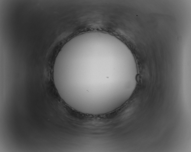 X0000089361207200706291034