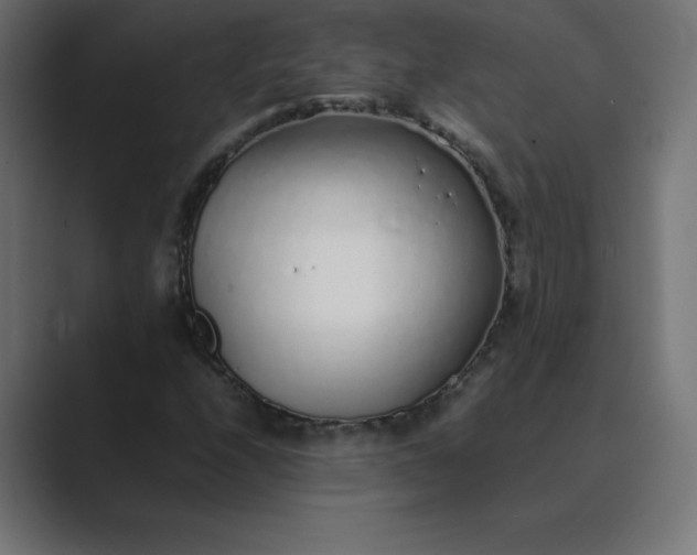 X0000089361208200706291034