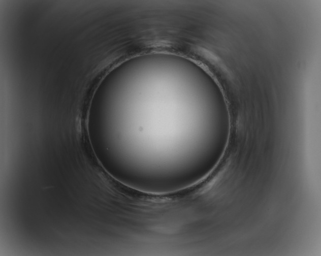 X0000089361209200706291034