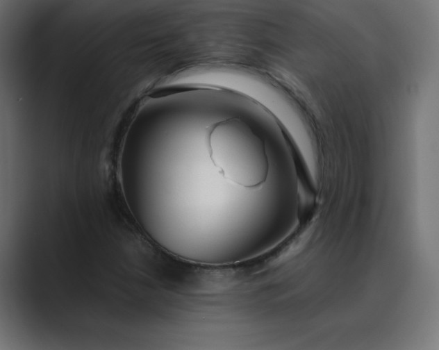 X0000089361210200706291034