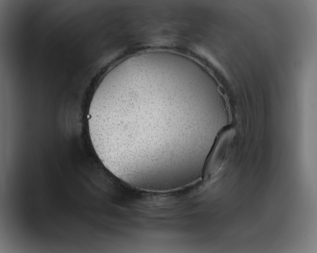 X0000089361213200706291035