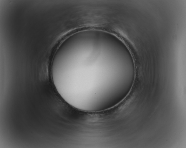 X0000089361214200706291035