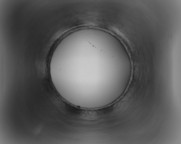 X0000089361215200706291035