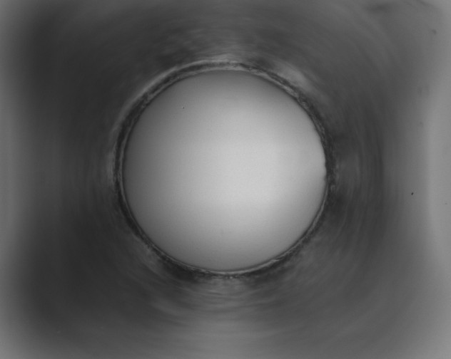 X0000089361216200706291035