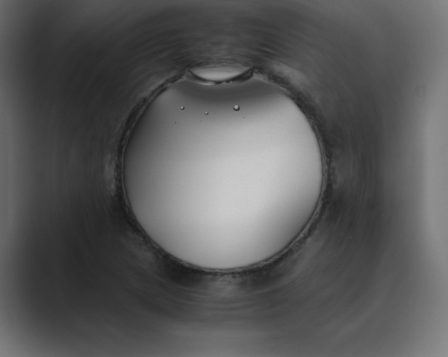 X0000089361217200706291035