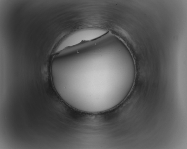 X0000089361218200706291035