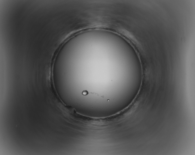 X0000089361220200706291035