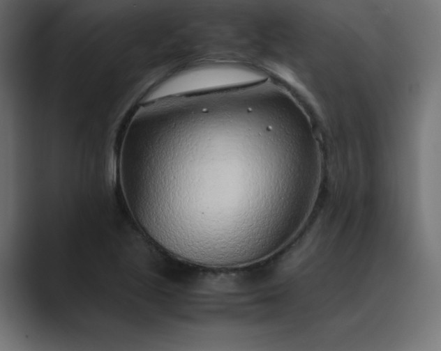 X0000089361221200706291035